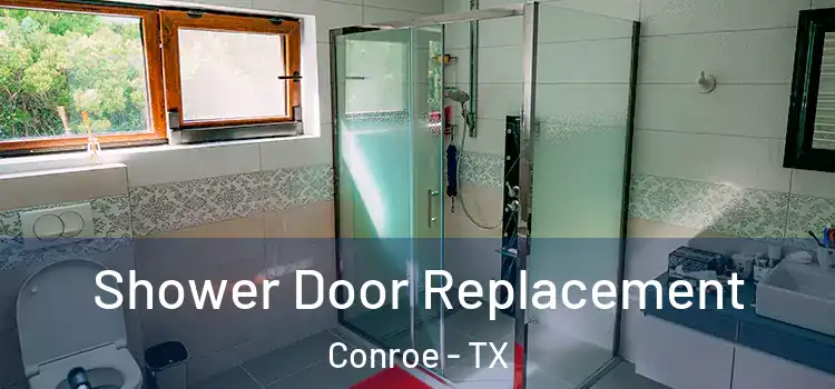 Shower Door Replacement Conroe - TX
